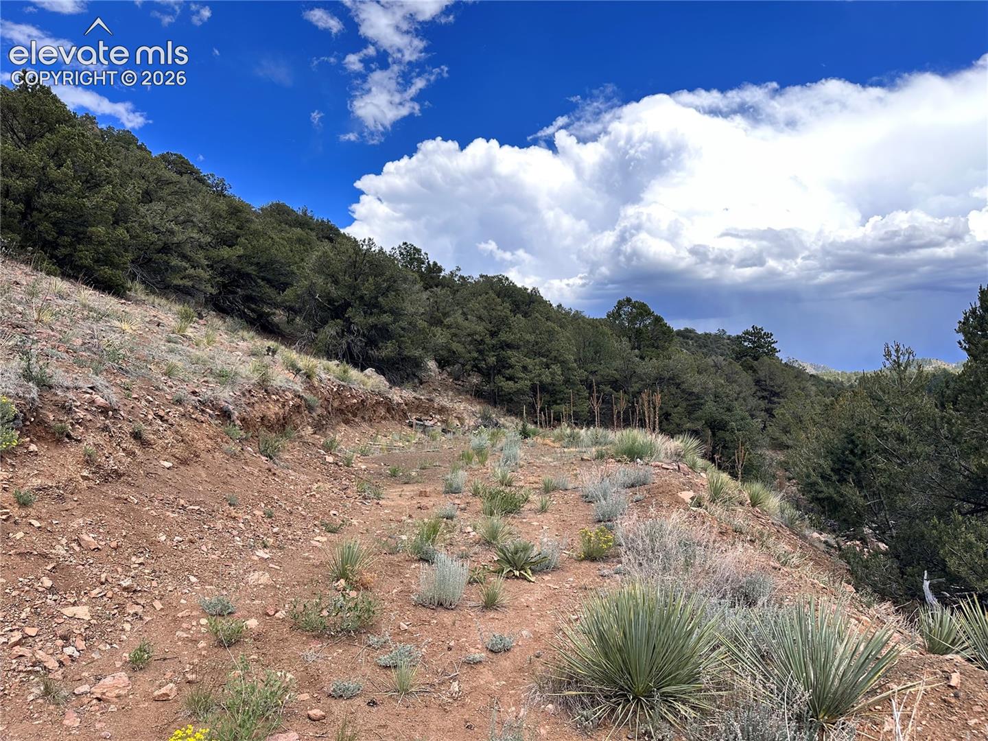 Photo 12 of 2973 Driftwood Road, Westcliffe