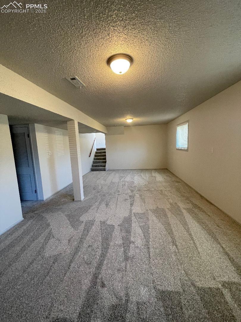 Lower Level Family Room