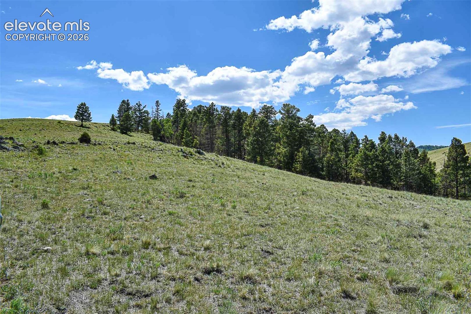 Photo 26 of 000 Bear Cat Road, Guffey