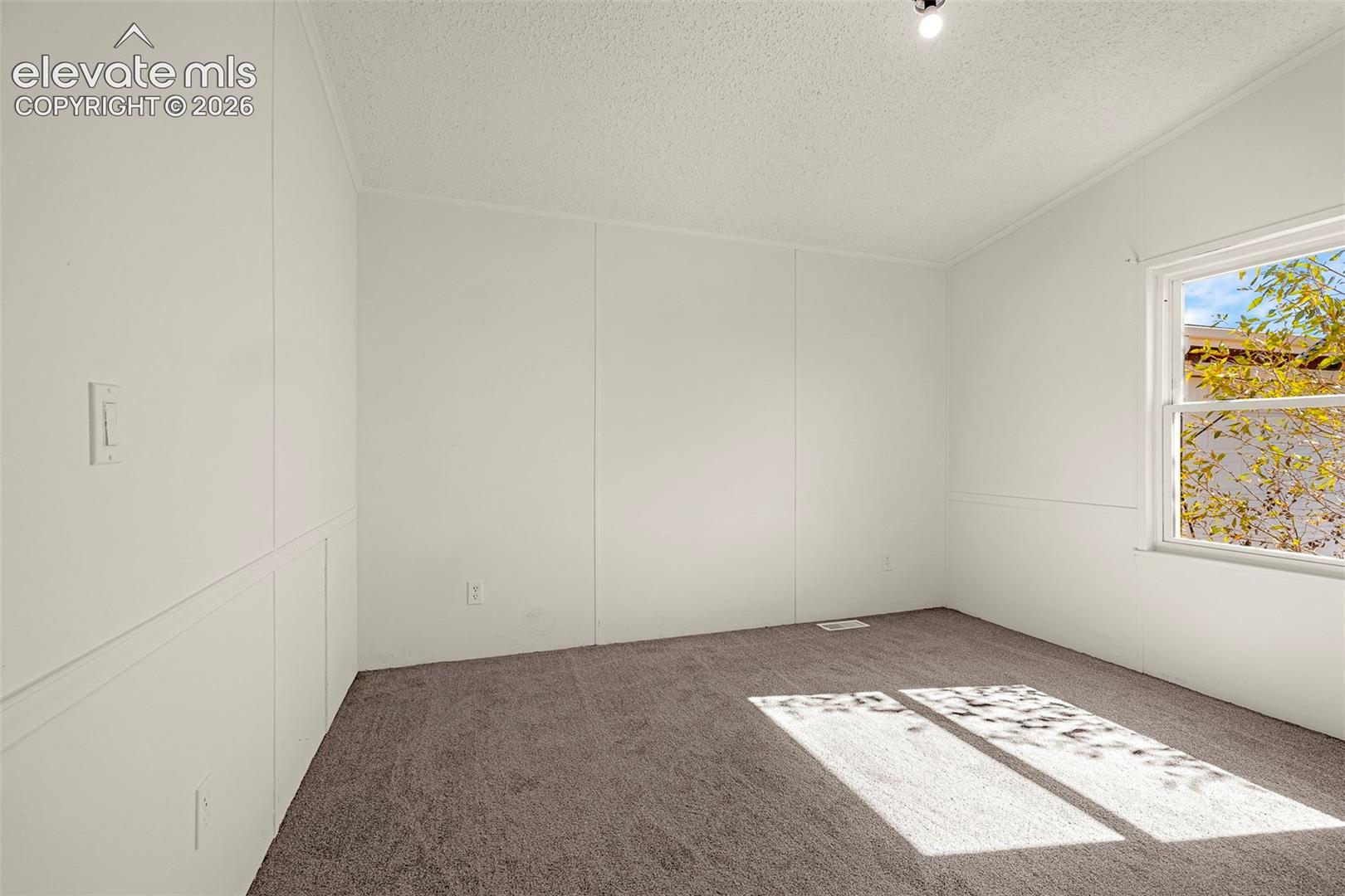 Room featuring neutral wall paneling, wall-to-wall carpeting, and a single-hung window