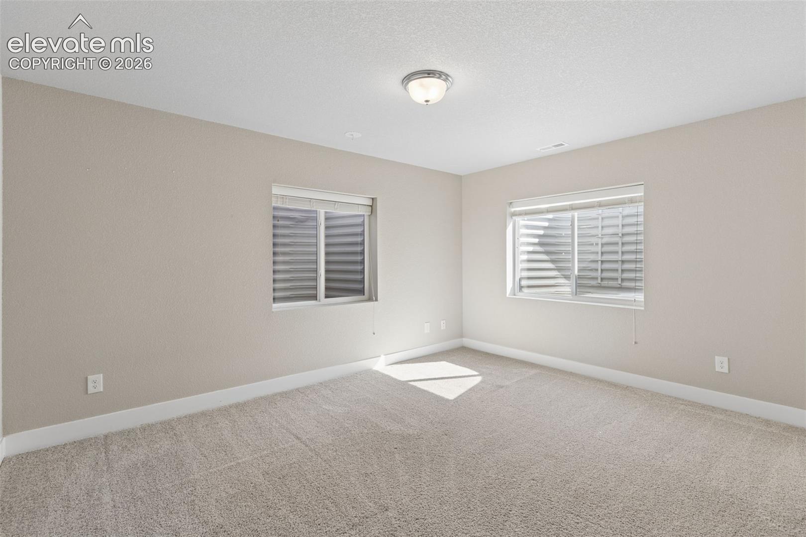 Neutral-toned room featuring wall-to-wall carpeting, two egress windows with corrugated metal wells, and a central ceiling-mounted light fixture
