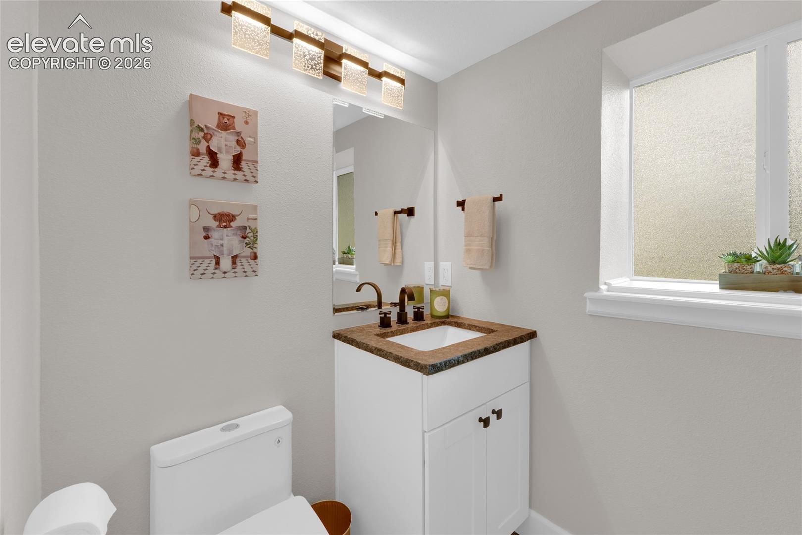 Lower level bathroom