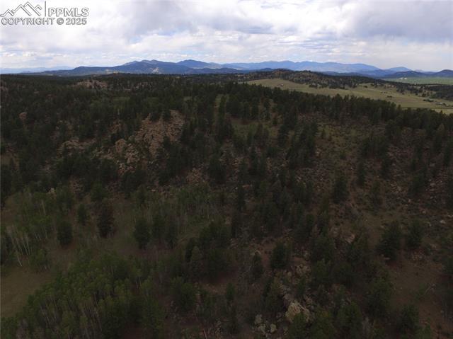 21 County Road 403, Guffey, CO 80820