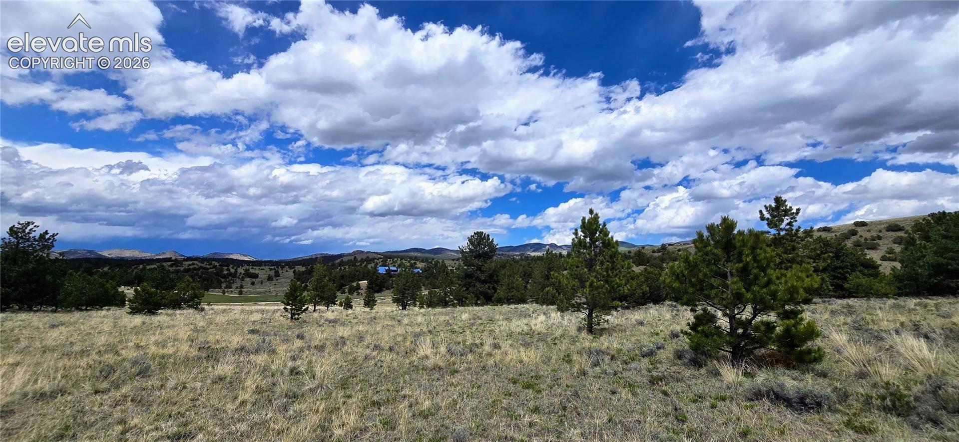 Expansive acreage featuring gently rolling terrain with scattered mature trees and native vegetation