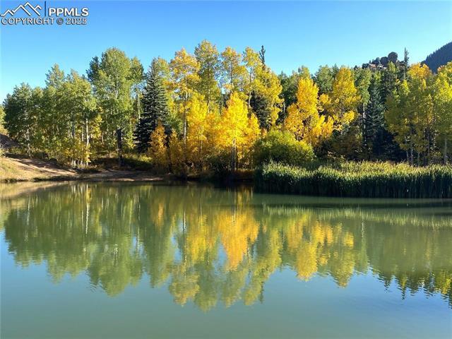 Stocked Trout pond that doubles as an ice rink in the Winter.
