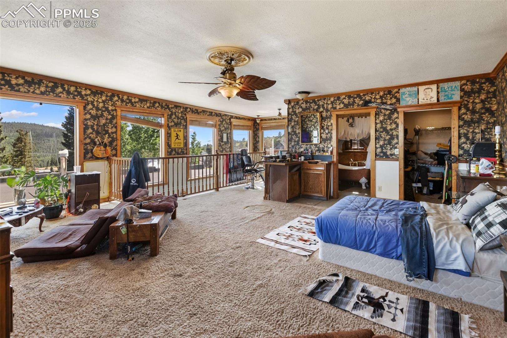 119 S 3rd St, Victor, CO 80860