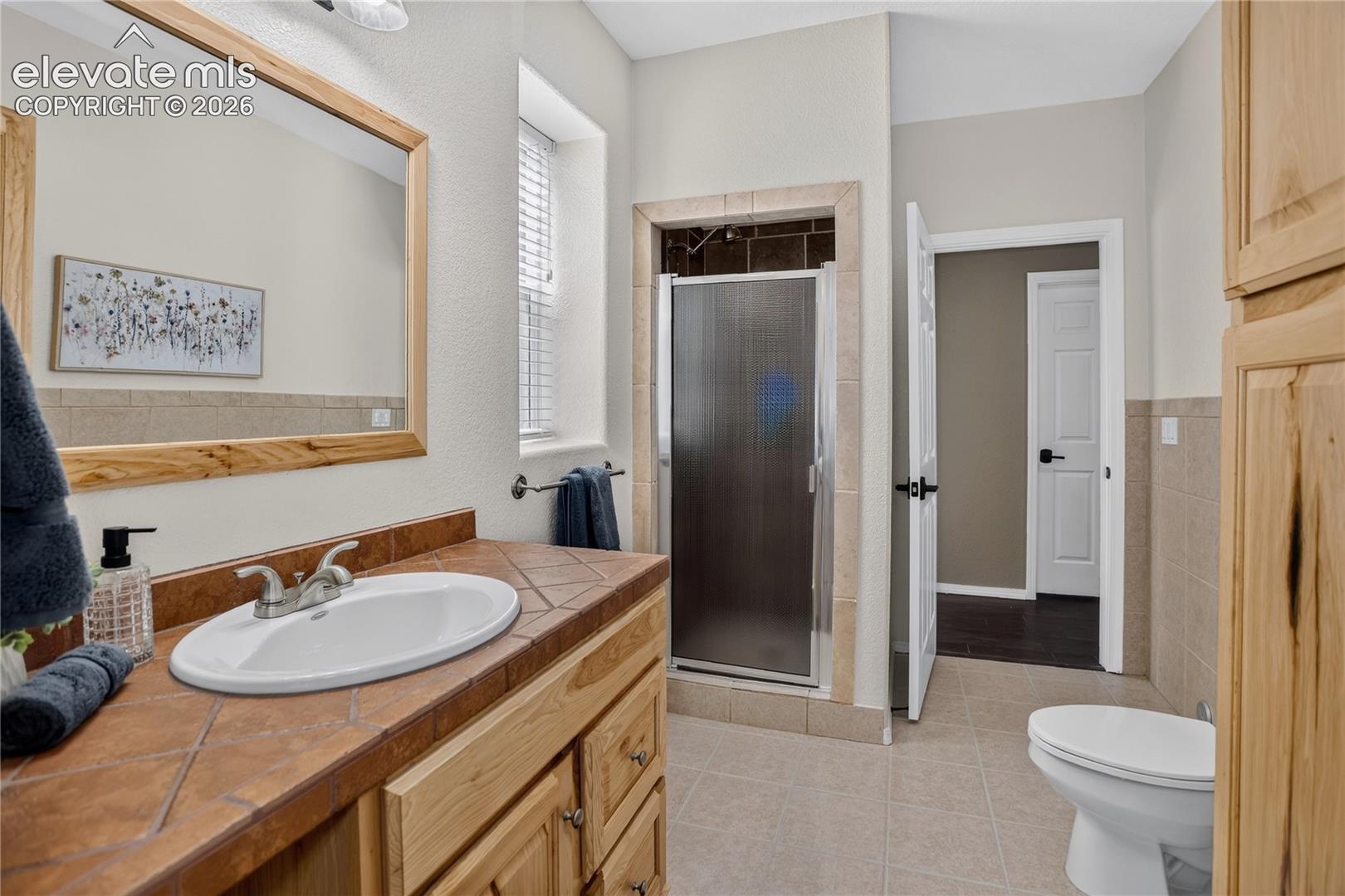 Guest bathroom - lower level