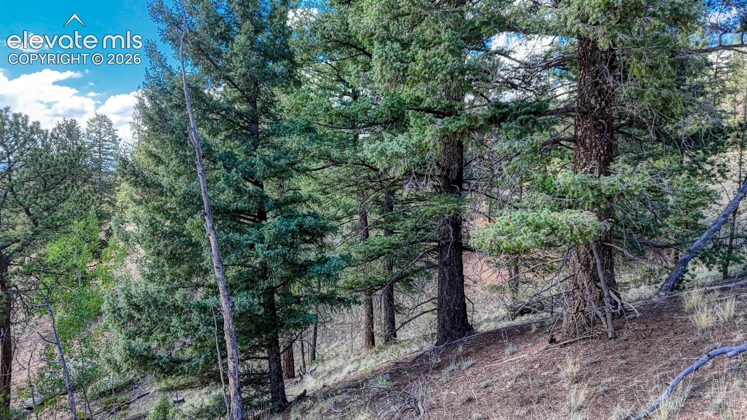 Photo 18 of 783 Bennett Drive, Cripple Creek