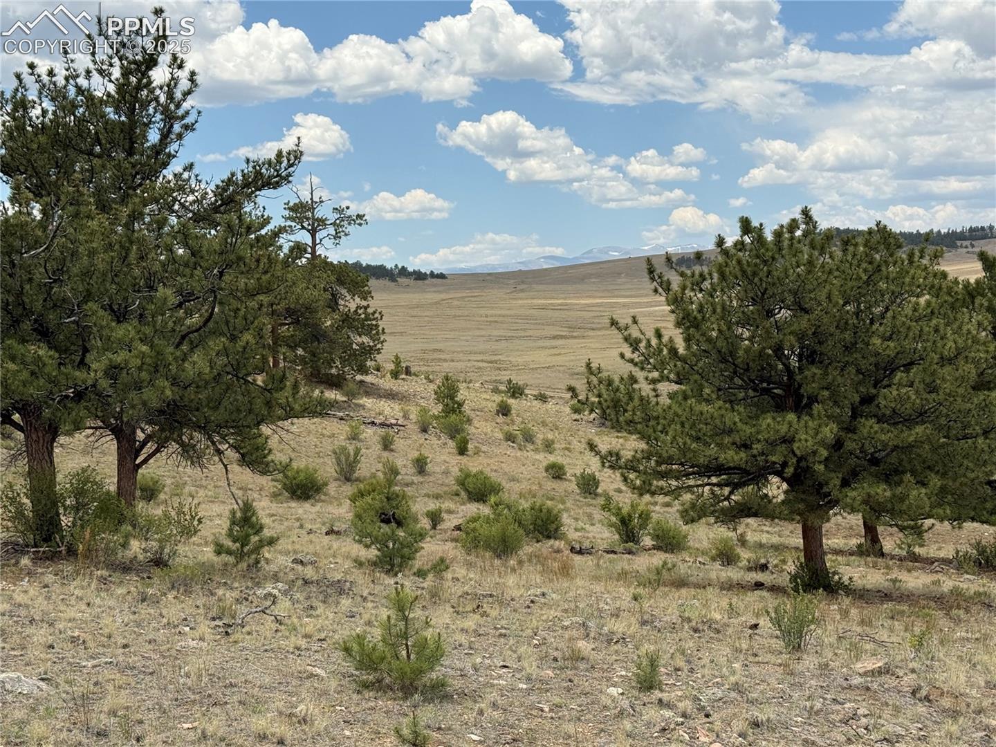 Photo 11 of HoHoKan Trail, Hartsel