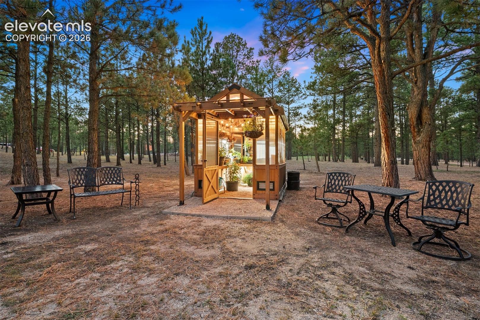 Freestanding wooden greenhouse structure featuring a pergola-style roof, glass paneling, and a paved foundation, situated on a wooded lot with mature pine trees