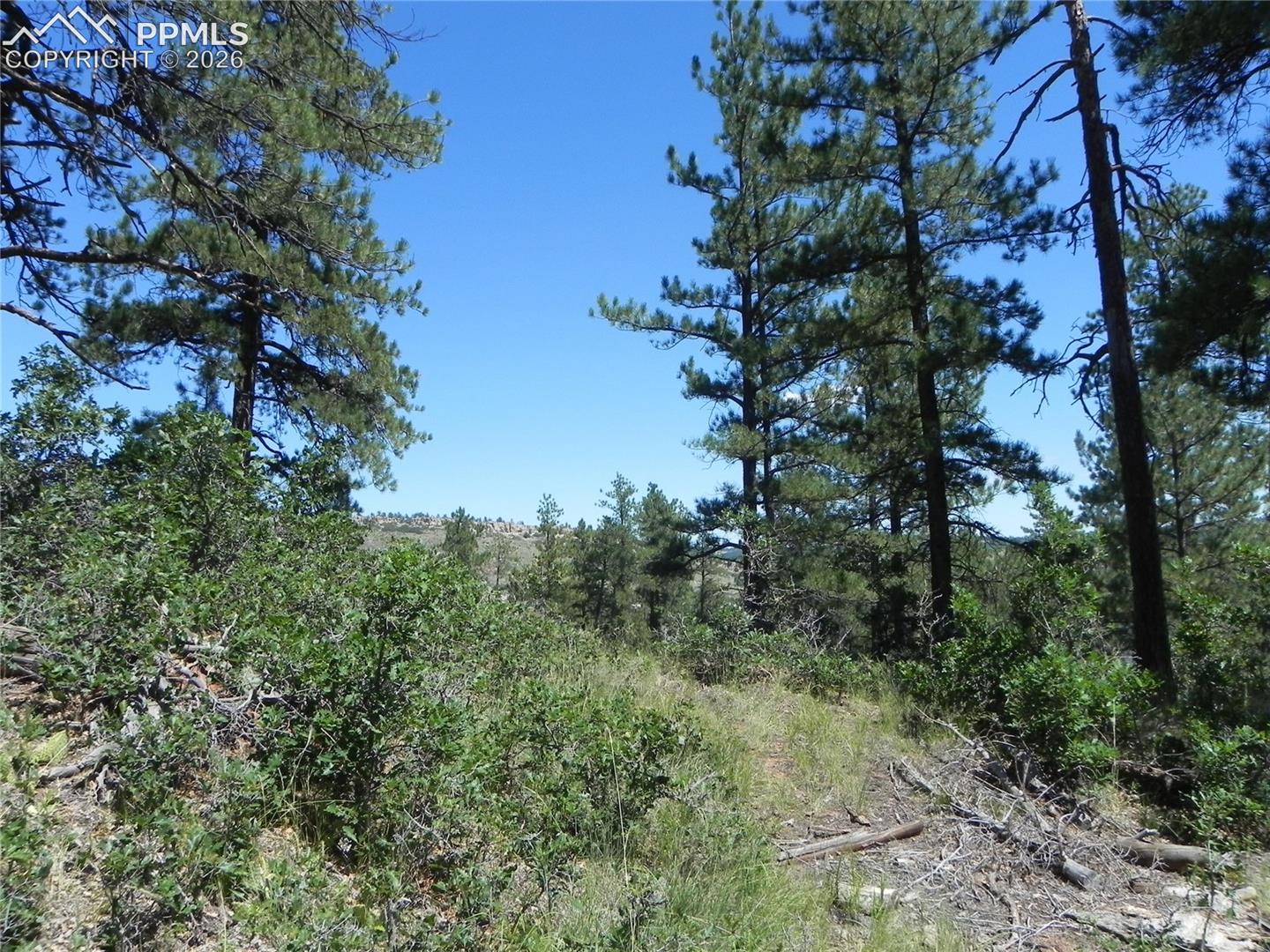 Photo 30 of 4144 Cheyenne Drive, Larkspur