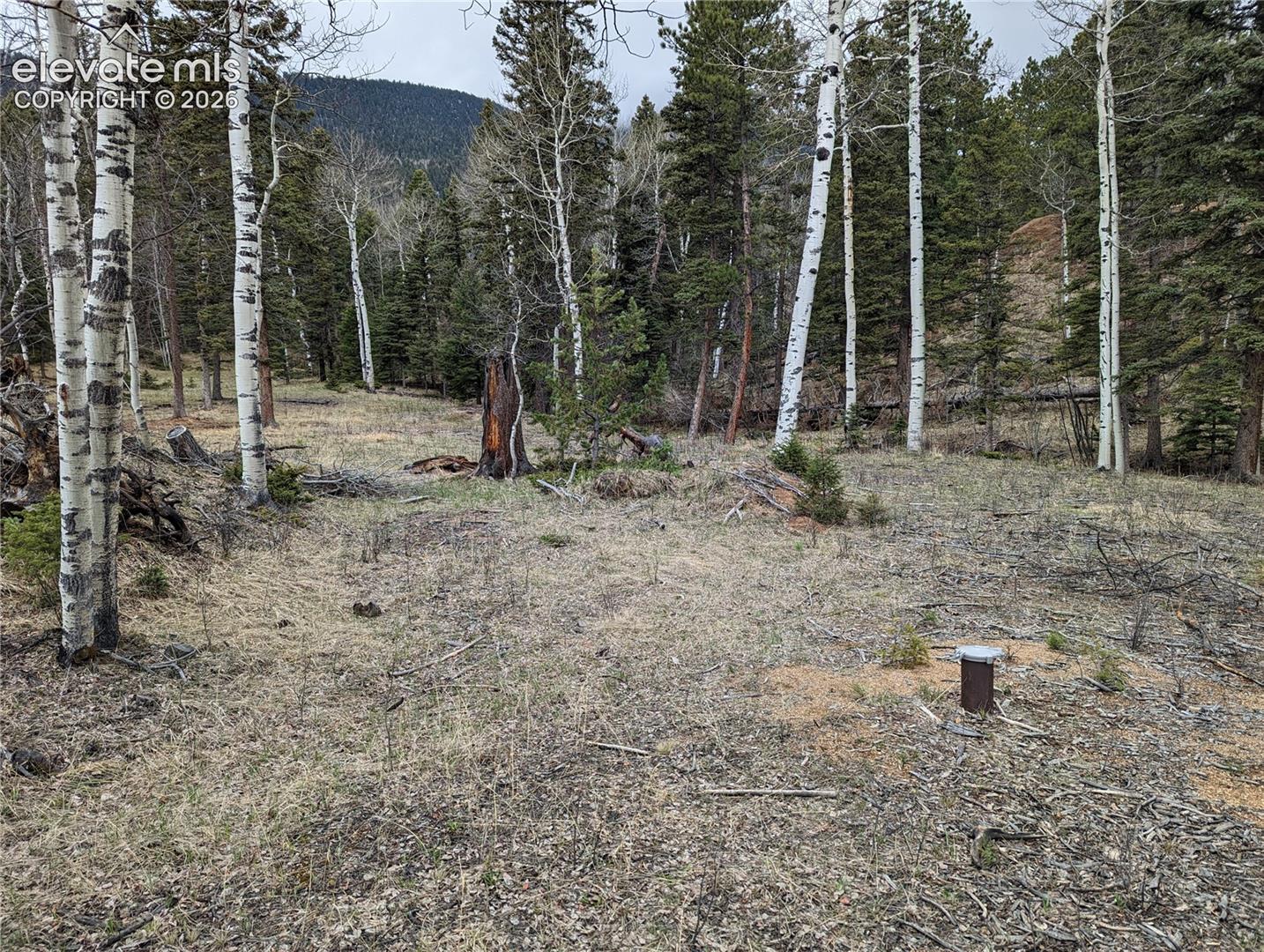Permitted Well on Lot