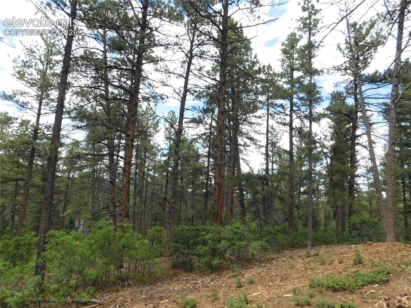 Photo 38 of 8139 Bannock Drive, Larkspur