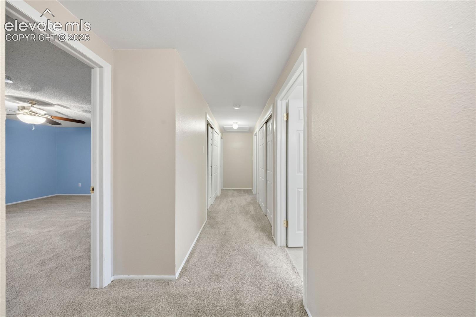 Interior hallway featuring wall-to-wall carpeting, neutral-toned wall paint, and multiple white paneled closet doors