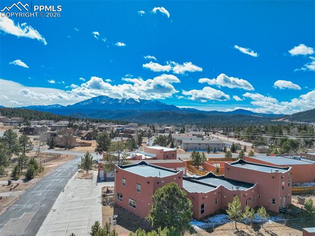 850 Forest Edge Rd #E, Woodland Park, CO 80863