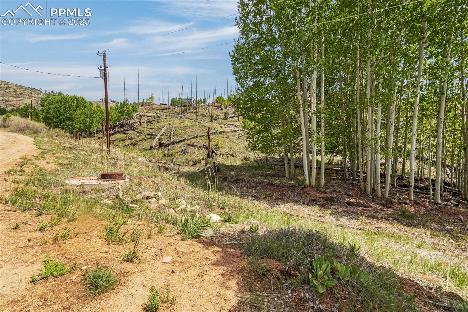 Photo 13 of L1 B4 Columbine Circle, Woodland Park