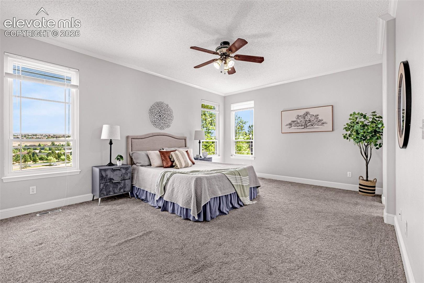 Photo 15 of 9135 Chetwood Drive, Colorado Springs