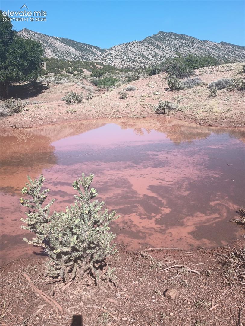Photo 37 of 1731 County Road 69, Canon City