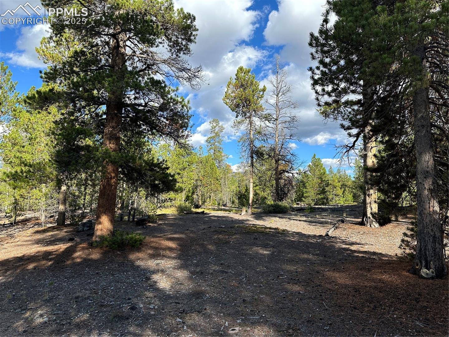 Photo 11 of 143 Fir Drive, Leadville
