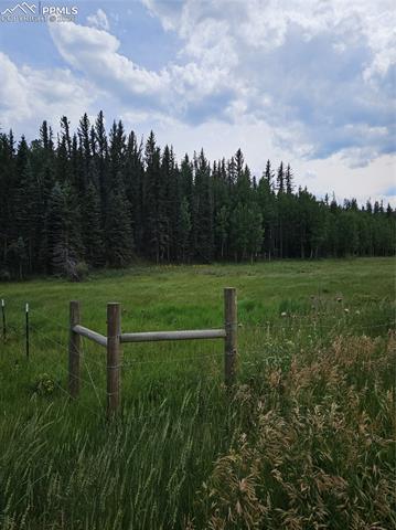 Corner of Fenced Area