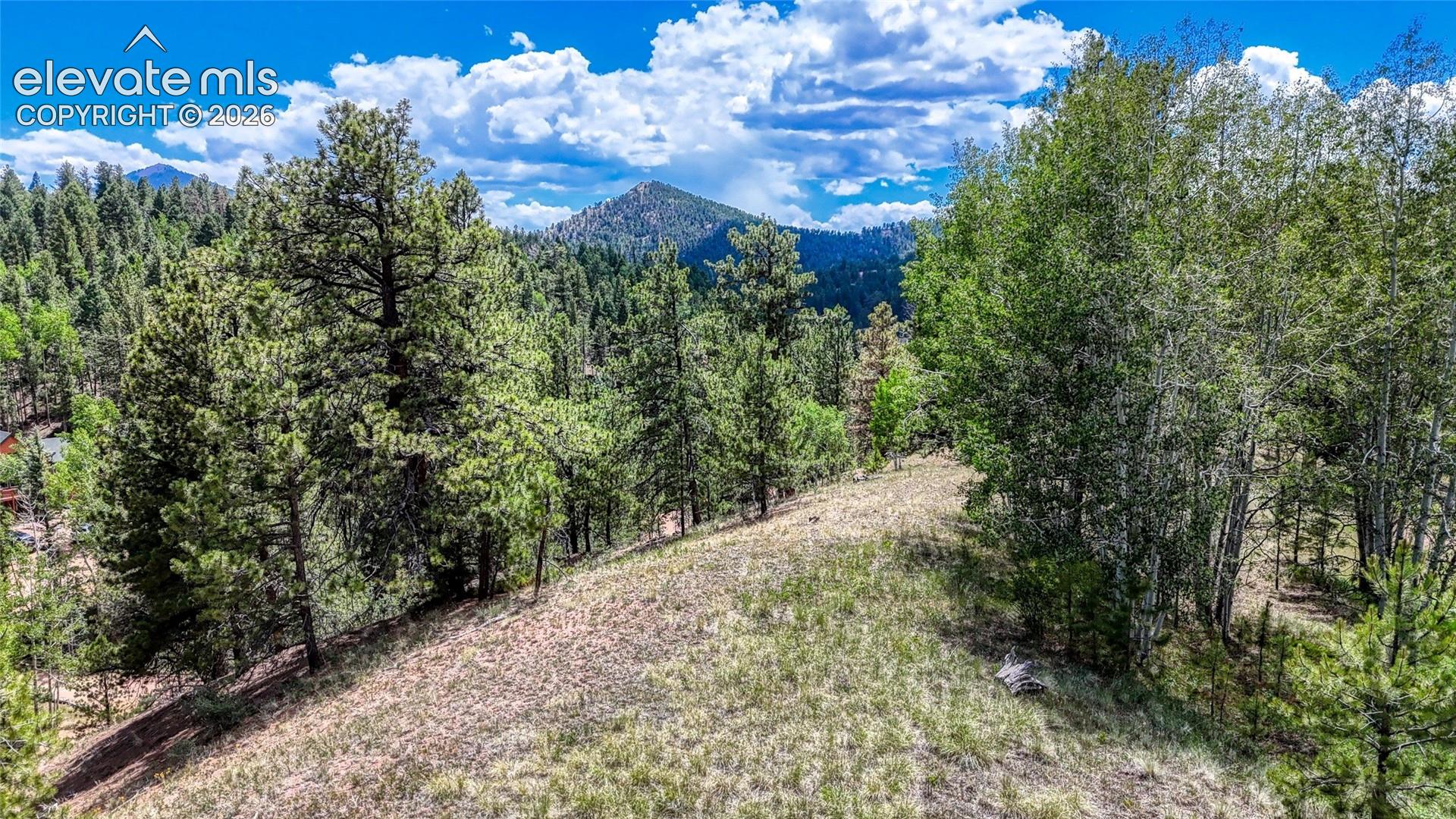 Photo 18 of 218 Princess Road, Cripple Creek
