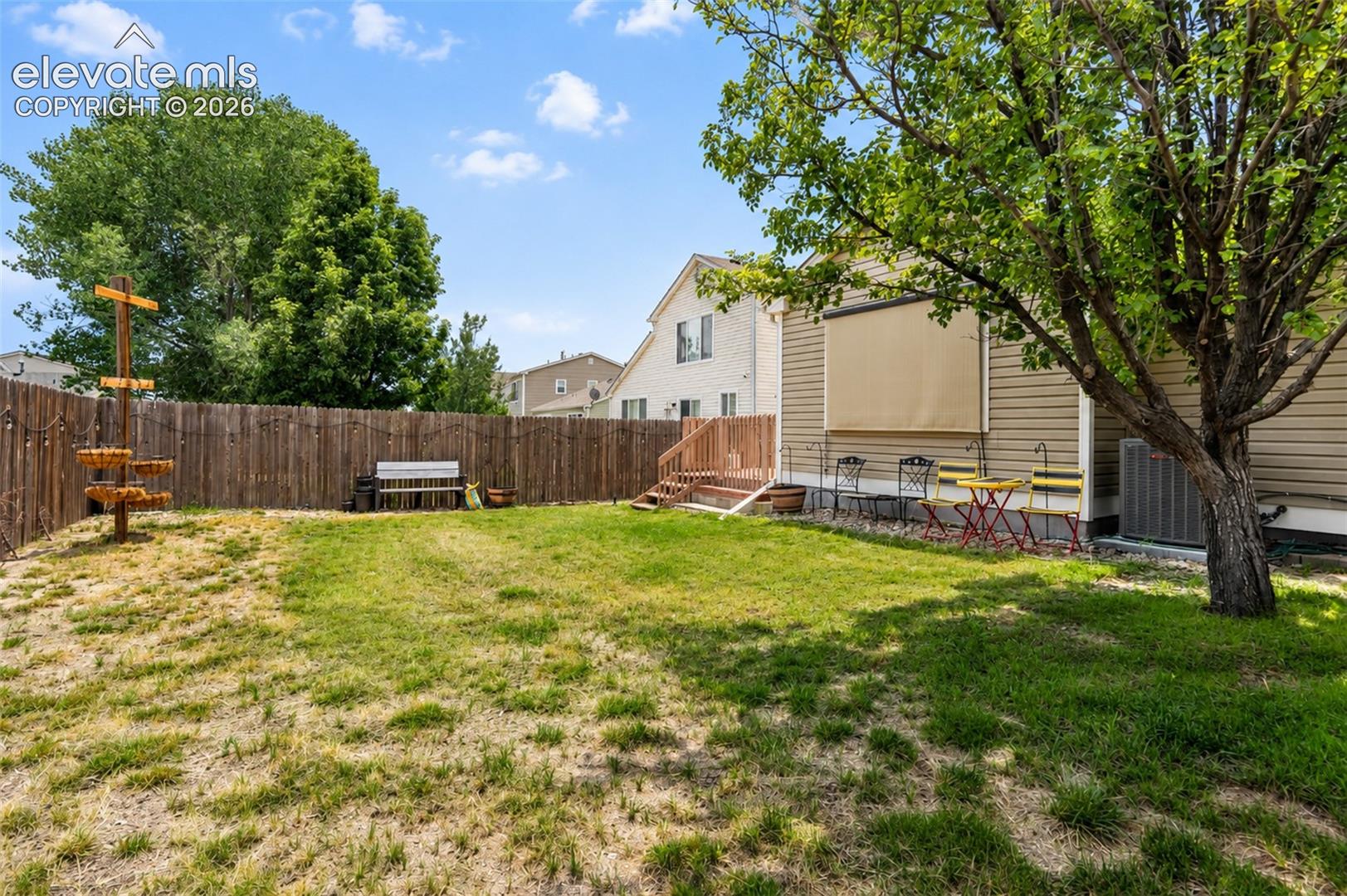 Back yard
