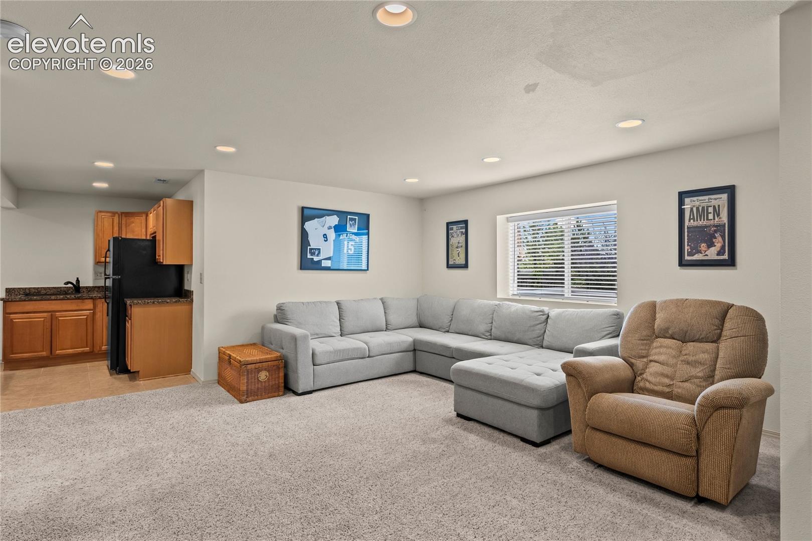 Basement Family Room