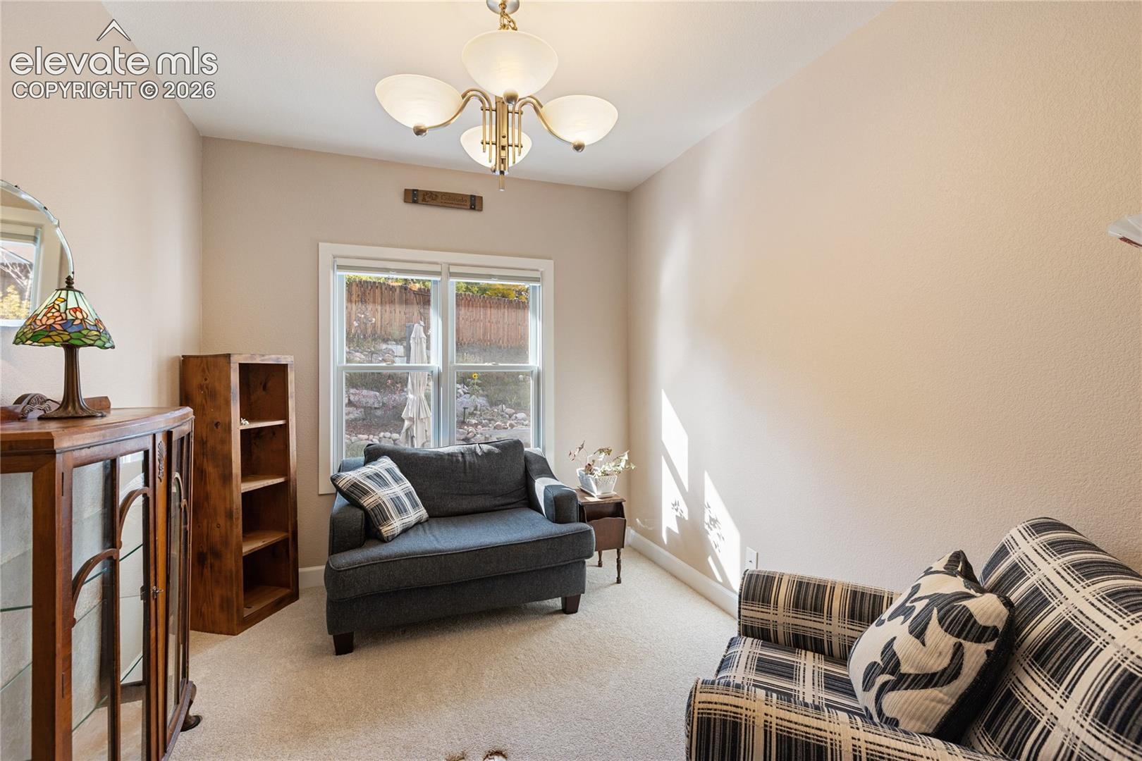 Plush carpet flooring, neutral-toned walls, and a multi-pane window