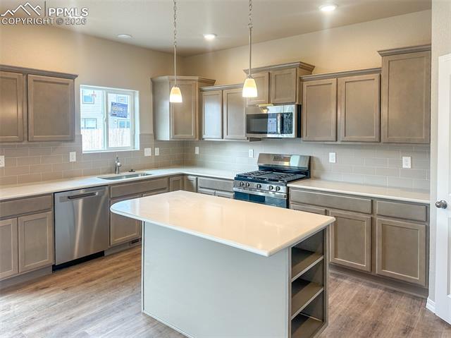 8227 Henzlee Pl, Falcon, CO 80831
