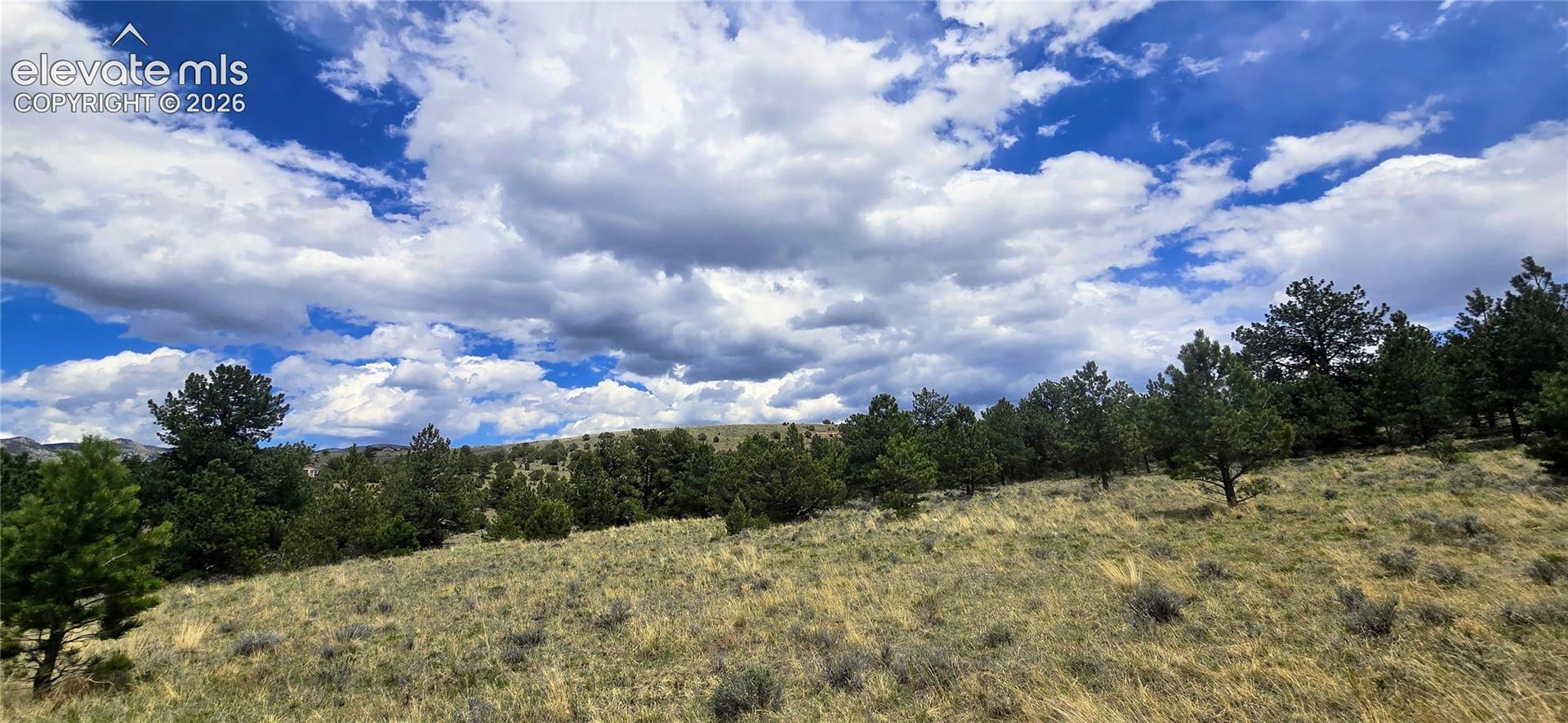 Expansive hillside acreage with gently rolling terrain and scattered mature tree coverage