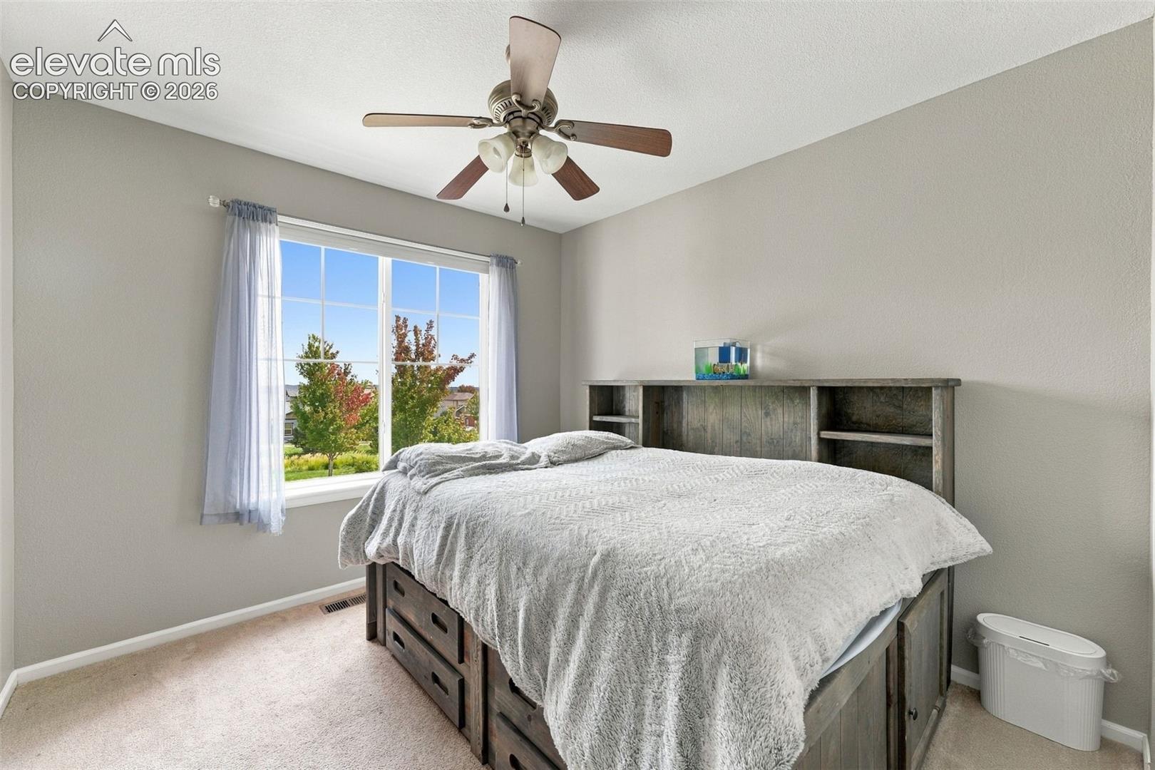 Photo 20 of 6688 Myrtle Creek Drive, Colorado Springs
