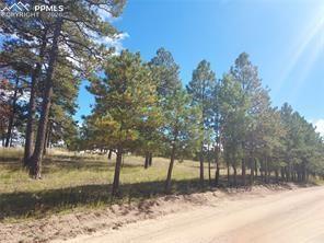 13395 Frank Rd, Colorado Springs, CO 80908