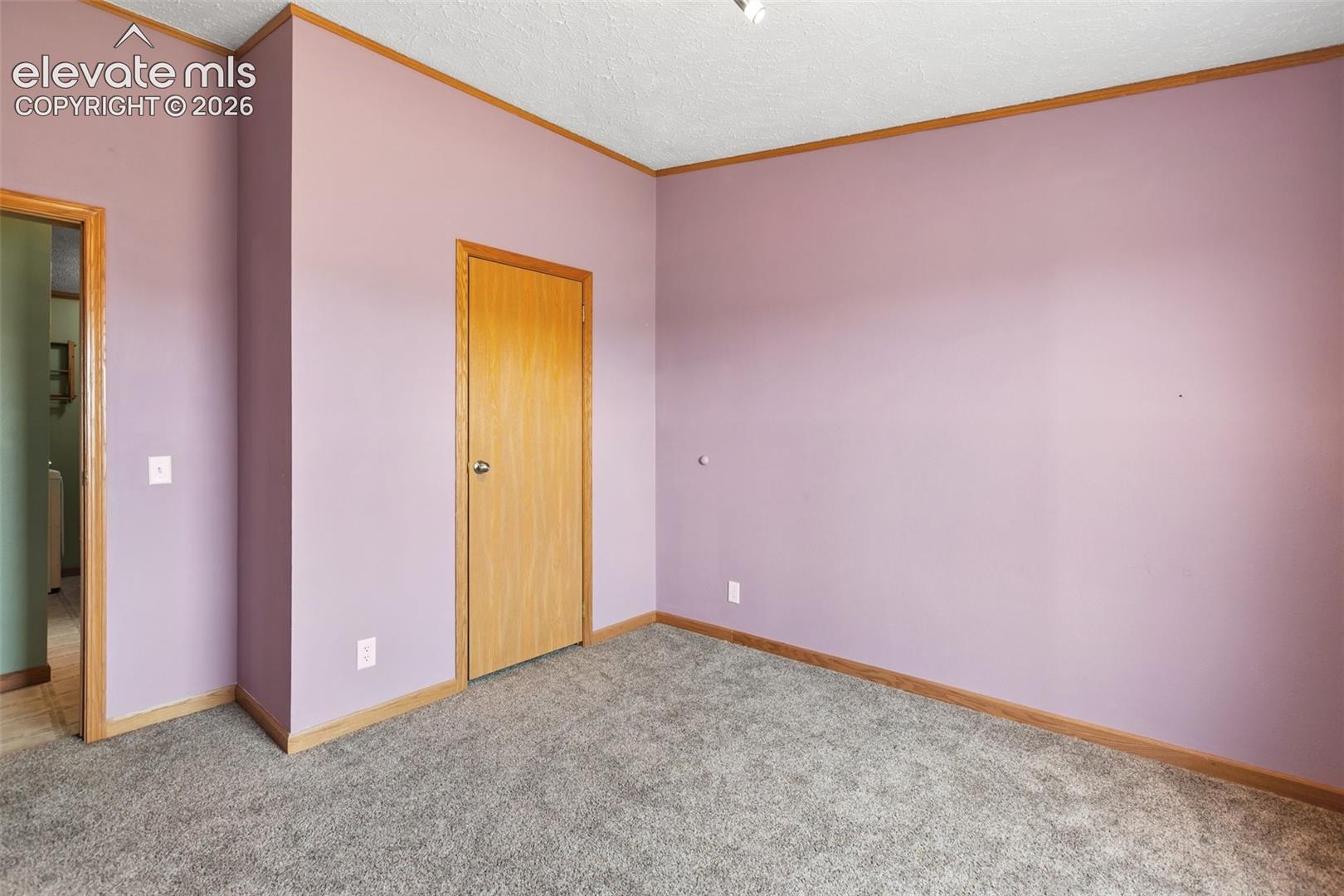 Interior room featuring neutral wall color, wood-finish trim, and gray carpet flooring