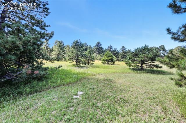 Photo 8 of 18380 Black Squirrel Road, Colorado Springs