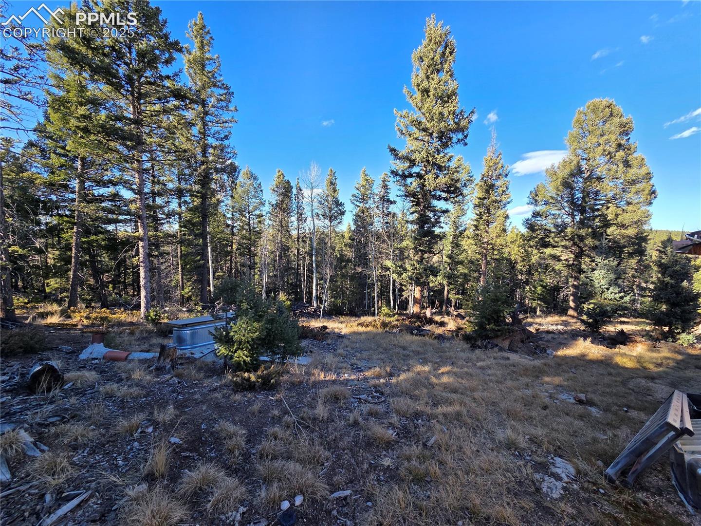 Photo 6 of 1434 Blue Mesa Drive, Divide