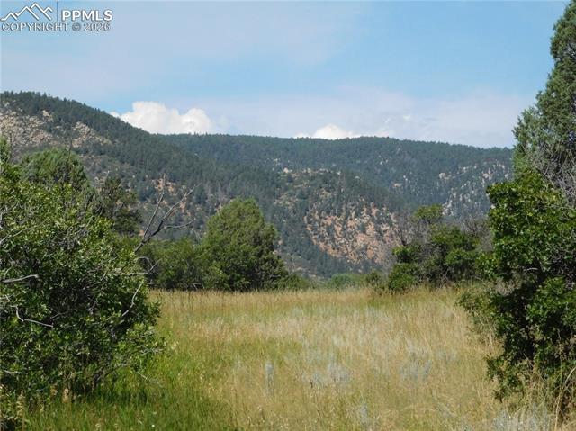 Photo 42 of 5967 Country Club Drive, Larkspur