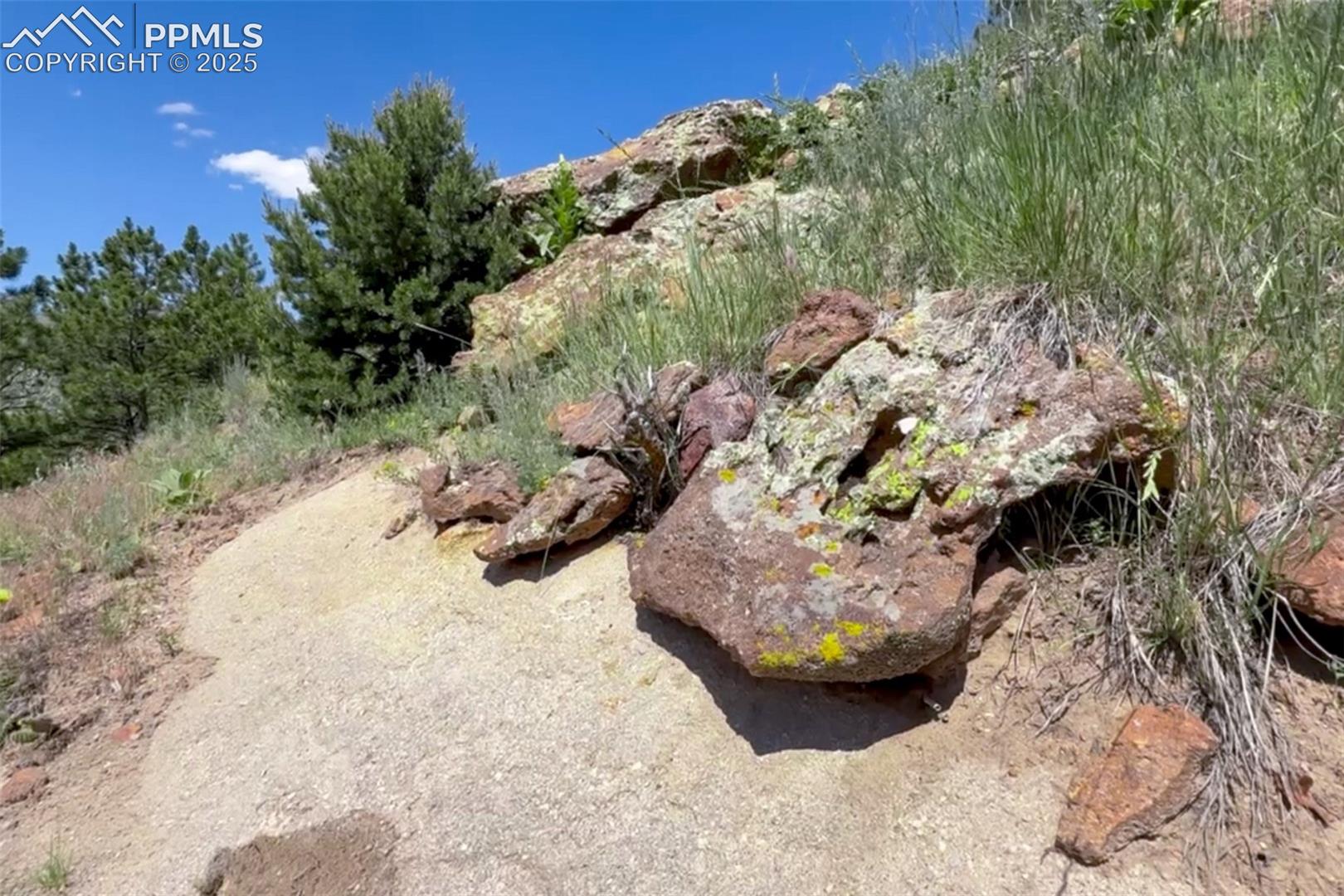 Photo 10 of 7137 Oak Valley Drive, Colorado Springs