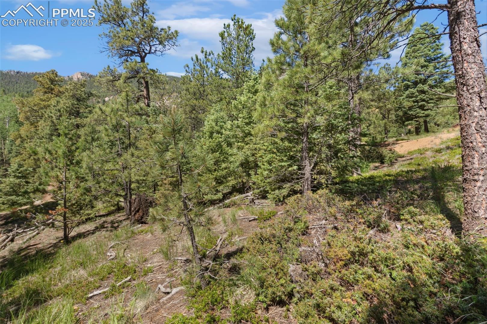 Photo 29 of 6050 Coffee Pot Road, Manitou Springs