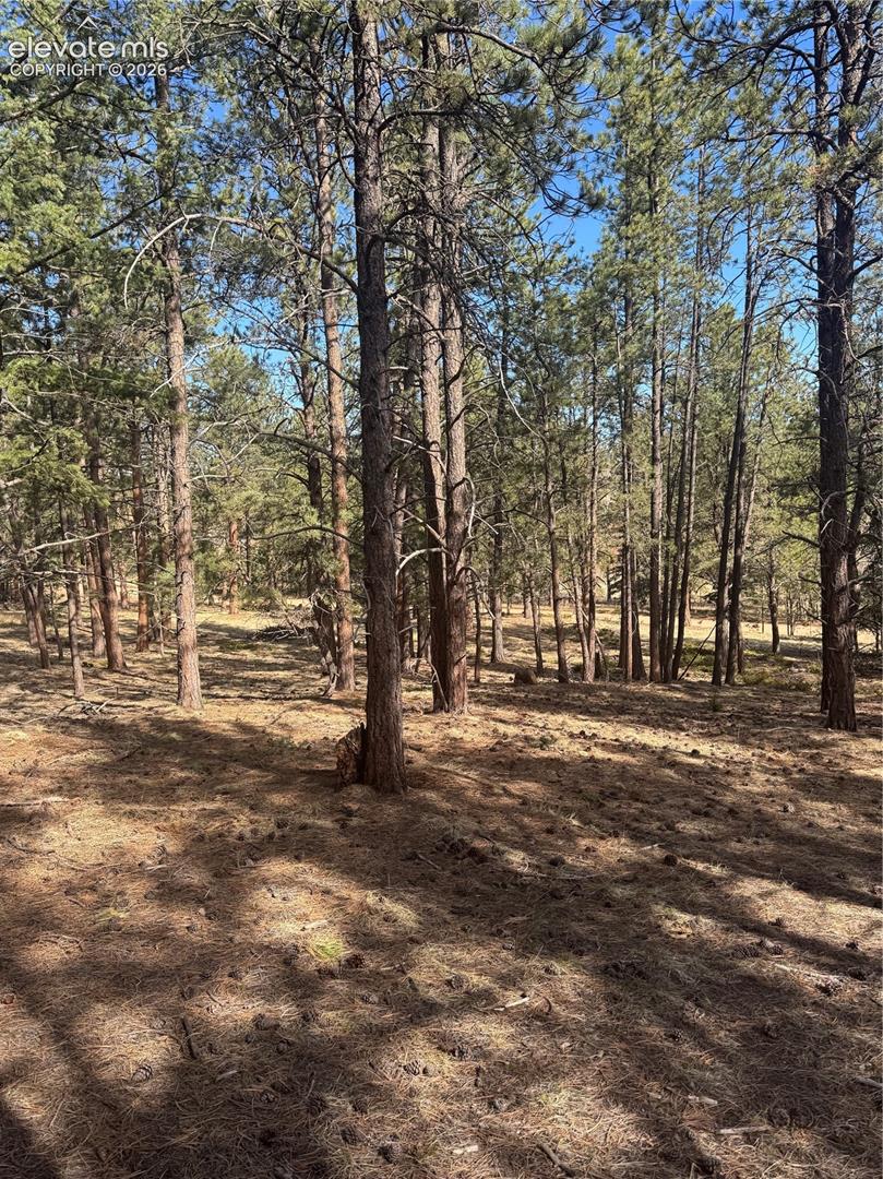 642 Matterhorn Dr, Florissant, CO 80816