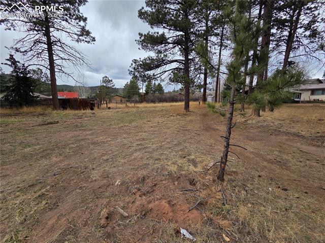 Photo 3 of 224 S Fairview Street, Woodland Park