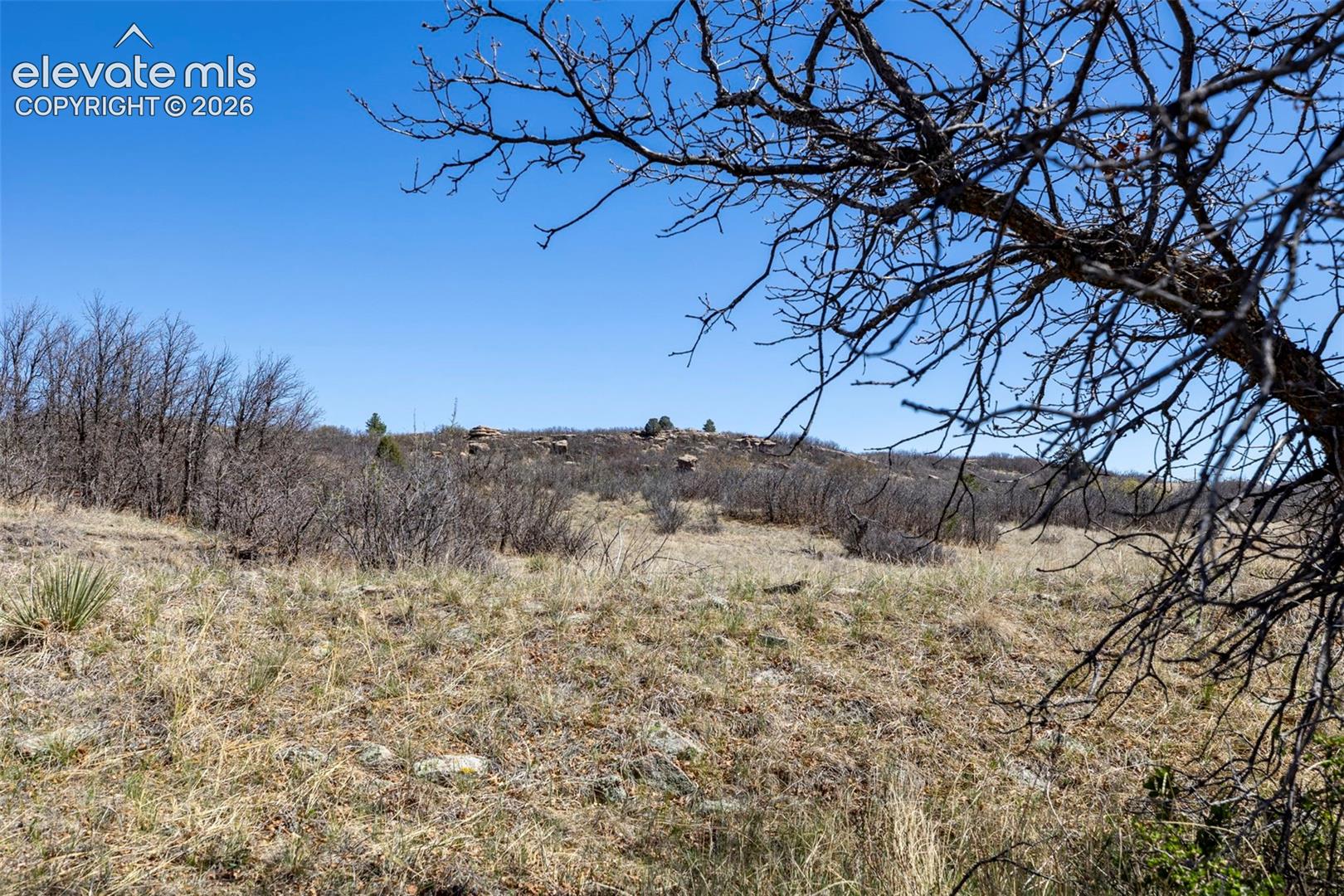 Photo 13 of 1701 N Rocky View Road, Castle Rock