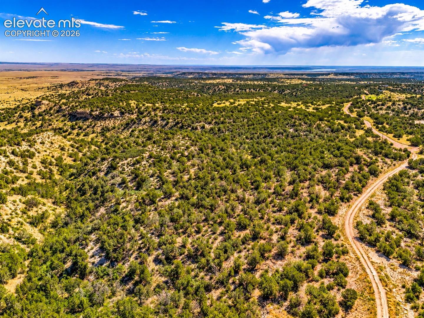 Elevated perspective overlooking dense juniper vegetation, rolling terrain, and distant mesas, offering a beautiful glimpse of Colorado's expansive countryside.

