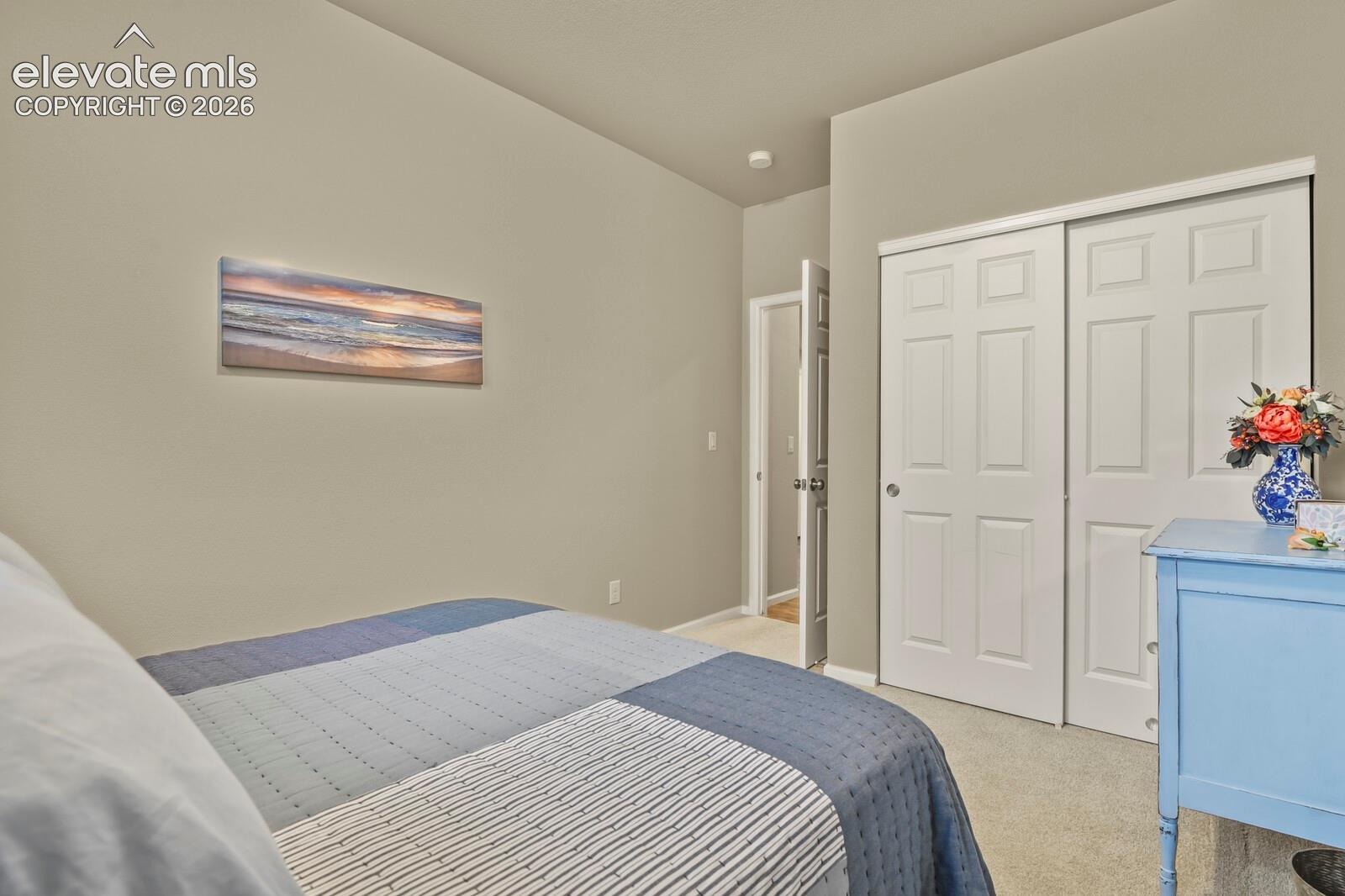 Neutral interior walls with carpeting, six-panel sliding closet doors, and a standard interior door