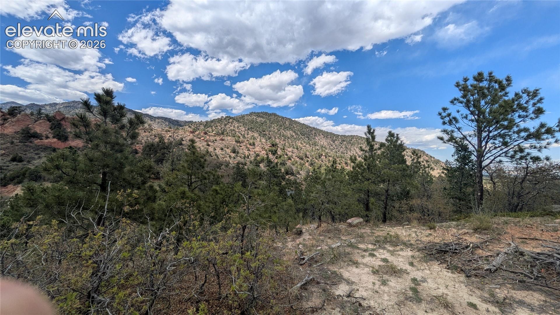 Expansive land parcel featuring diverse topography with mature trees and native vegetation