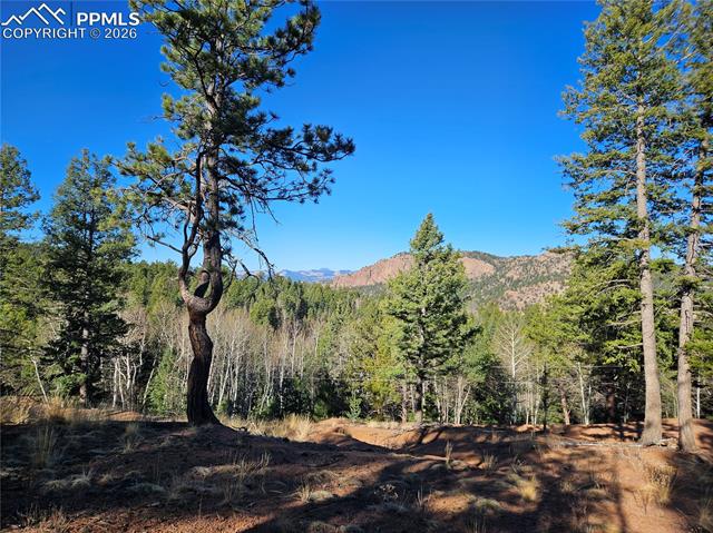 Photo 9 of 652 Derby Drive, Cripple Creek