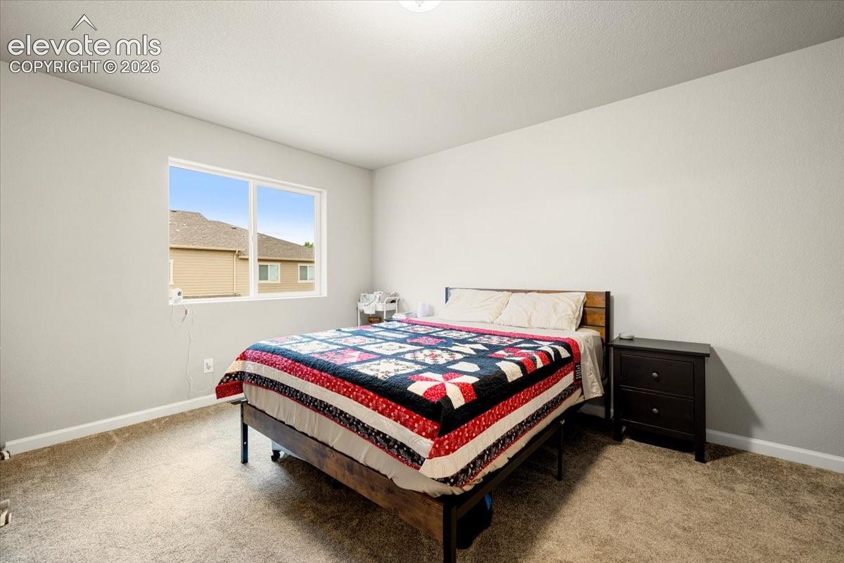 Neutral-toned walls with textured finish, light-colored carpeting, a large window, and a ceiling-mounted light fixture