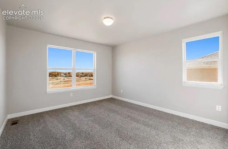 Neutral-toned walls, wall-to-wall carpeting, multiple windows, and a central ceiling-mounted light fixture