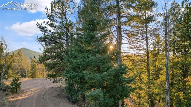 Photo 18 of 1289 Yorktown Road, Cripple Creek