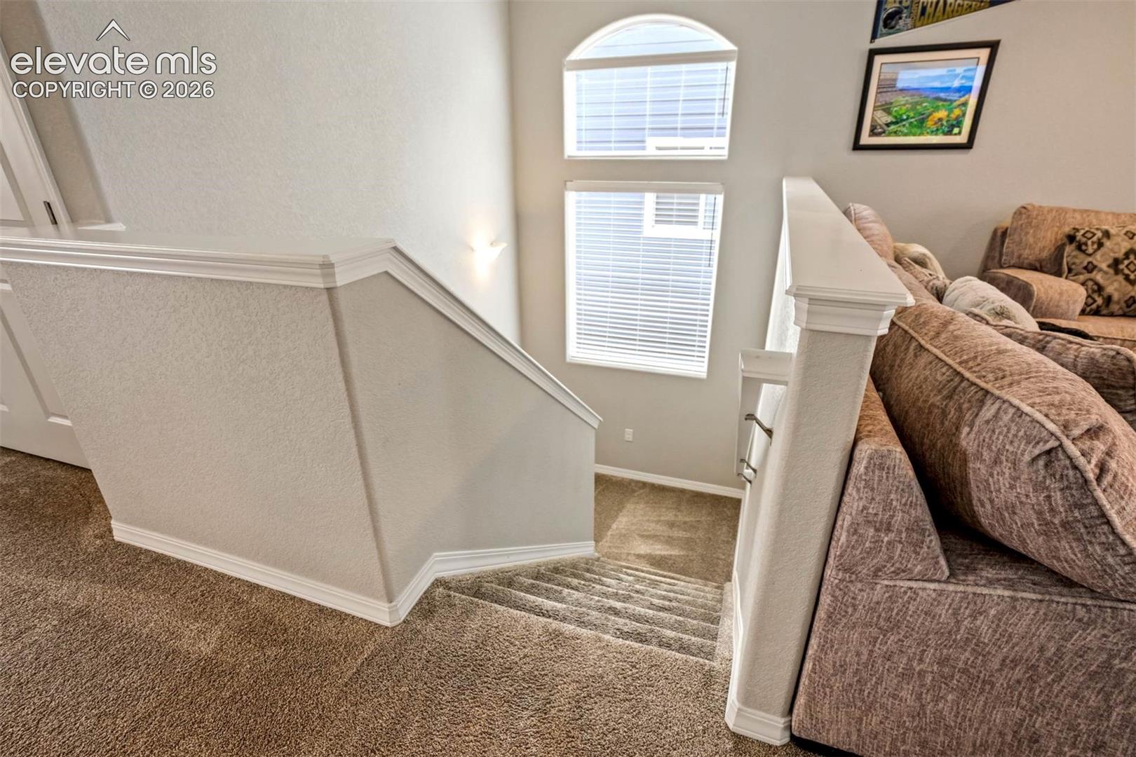 Photo 27 of 8747 Bynum Drive, Colorado Springs