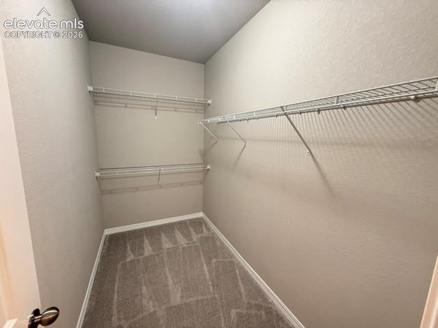 Built-in wire shelving, neutral carpet flooring, and painted walls